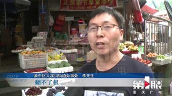 最新重庆爆料新闻,揭秘神秘事件背后的真相  第3张